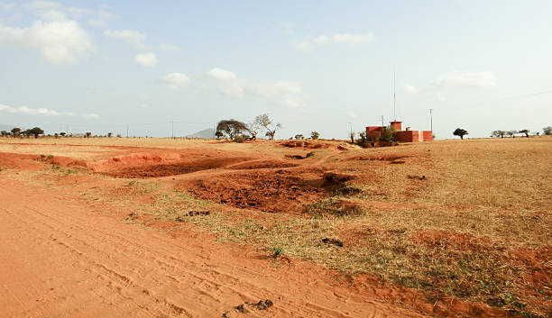 istock Savannah in Africa 547045734