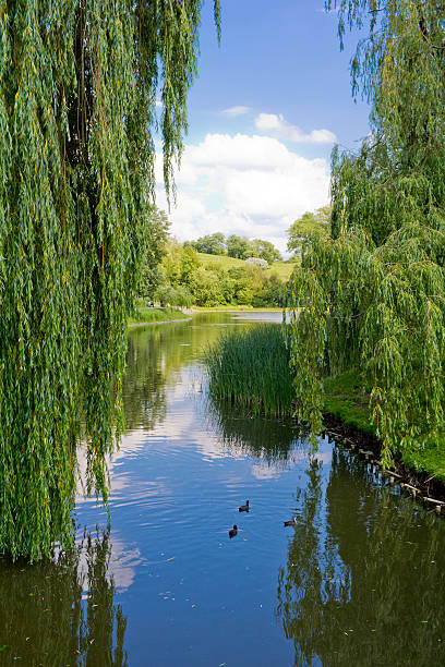 istock Water canal in a city park 547047204