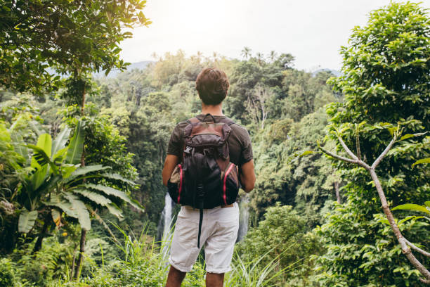 istock Male hiker admiring the waterfall 547050230