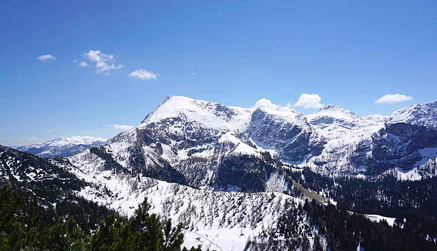 istock View from the cliff of the Mount Jenner 547050882