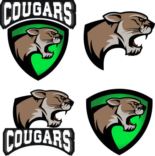Vector illustration of cougars.  sport team emblem template.