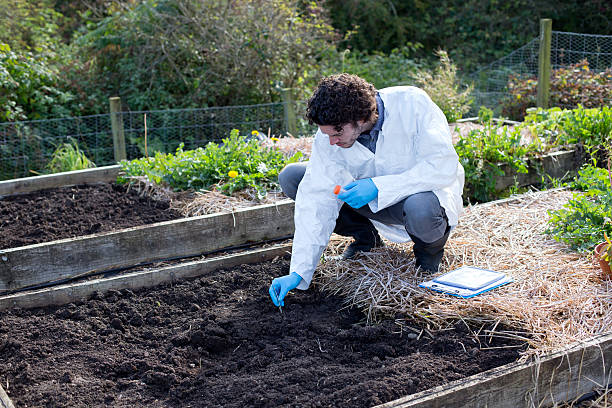 carrying out a soil analysis - toxic substance dirt pollution scientific experiment imagens e fotografias de stock