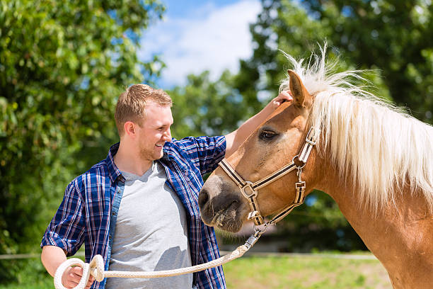 istock Man petting horse on pony farm 547054786