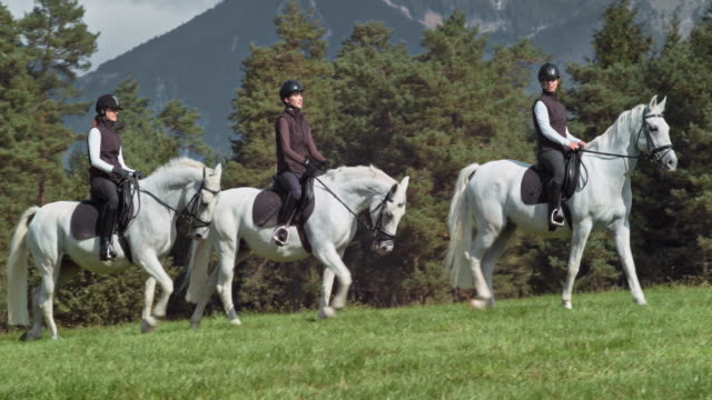Three women riding their white horses across a mountain meadow
