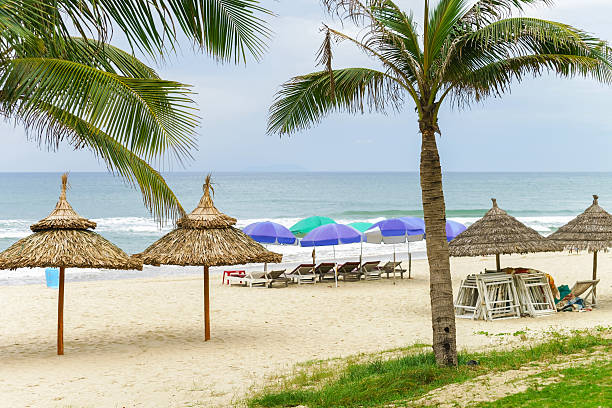 istock Palms and sunbeds in China Beach in Danang 547124682