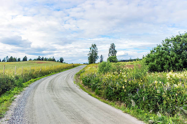 istock small road in countryside 547125830