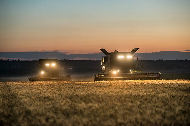 istock Combine harvester working on a wheat crop at night 547126460