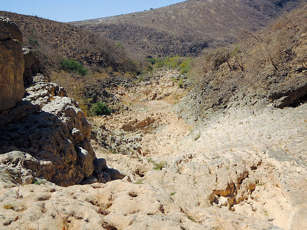 sultanat d'oman, le dhofar, près de salalah, wadi darbat - sharqiyah photos et images de collection