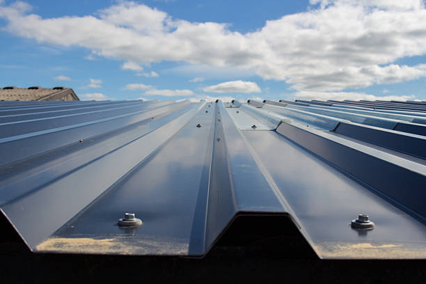 telhado e céu da fazenda - metal roof - fotografias e filmes do acervo