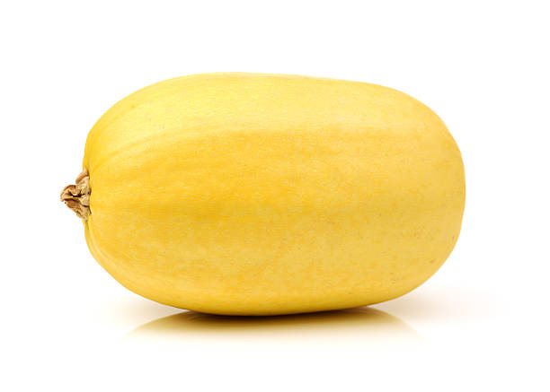 istock organic spaghetti squash Cucurbita pepo vegetable 547131260