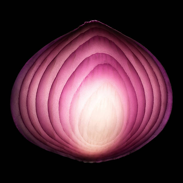Red onion cross-section stock photo