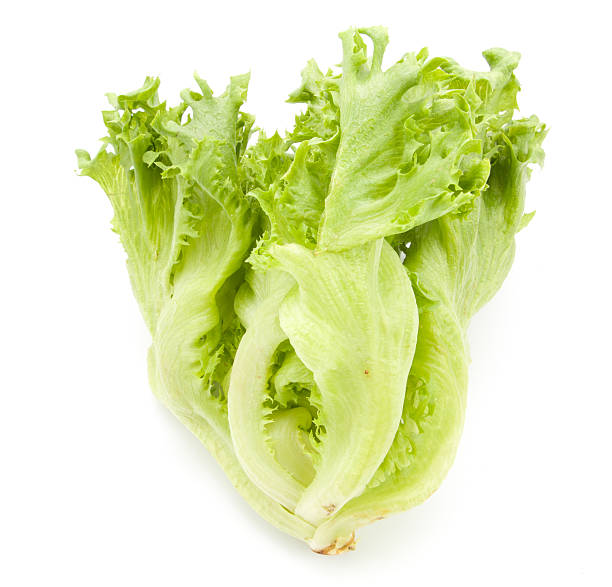 istock fresh lettuce leaves close up isolated 547133344
