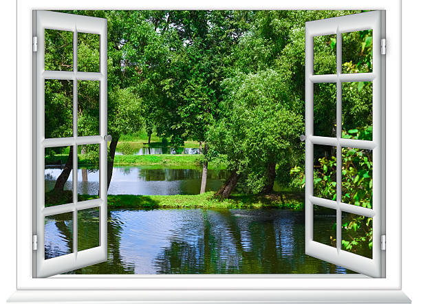 views of the pond view from the window in the body of water and the tree in summer pool gate stock pictures, royalty-free photos & images