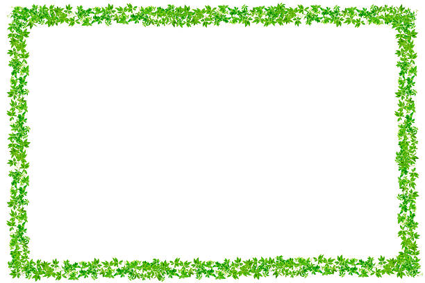 istock Fresh Green leaves frame isolated on white background. 547135116