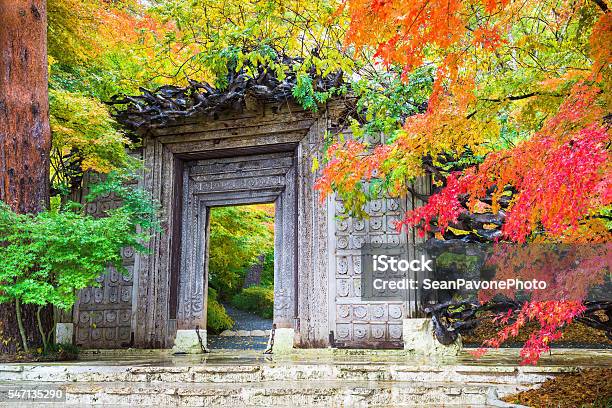 Museum In Japan During Autumn Stock Photo - Download Image Now - Architecture, Asia, Autumn