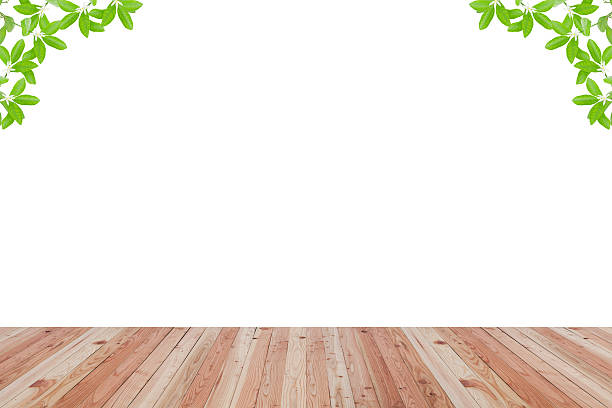 istock Wood floor texture and green leaves frame on white background. 547139174