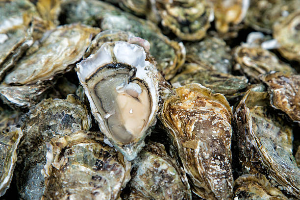 fond avec ouverture d'huîtres fraîches - prepared oysters photos et images de collection