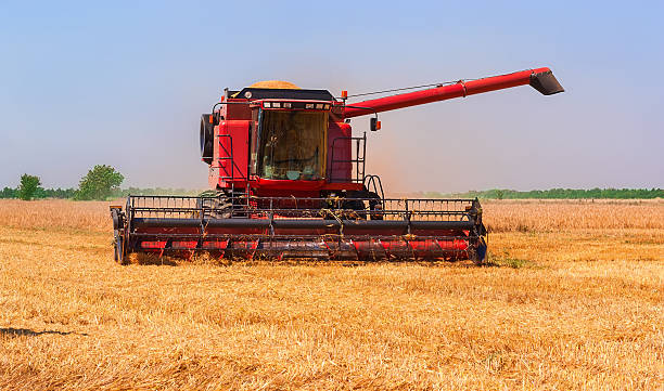 istock Combine harvester on a wheat field. 547141424