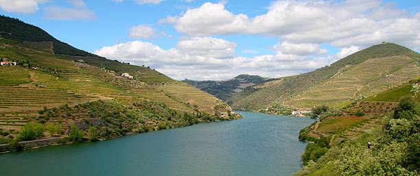 istock Douro Valley, Portugal 547145230