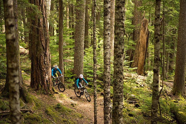 istock Couple mountain biking through a forest 547145962