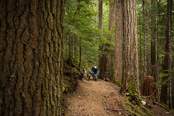 istock Couple mountain biking through a forest 547146668