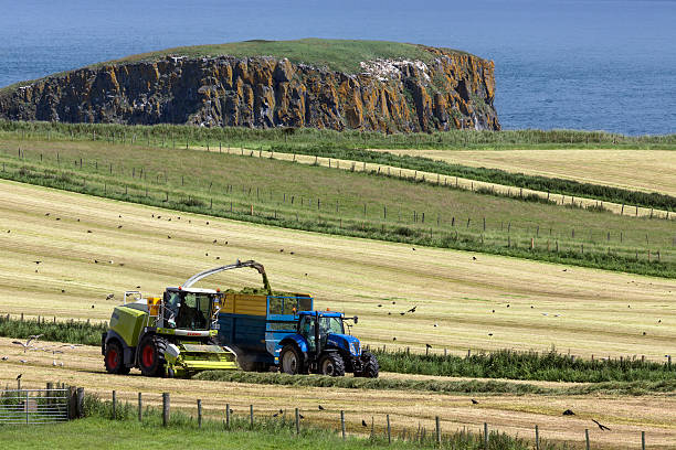 Ballycastle, United Kingdom - June 22, 2016: Agriculture - Farm workers collecting silage in the fields near the village of Ballycastle in County Antrim in Northern Ireland. Silage is grass fodder that is compacted and stored in airtight conditions, typically in a silo, without first being dried, to be used as animal feed in the winter.