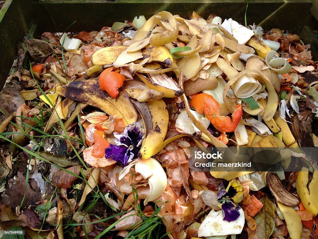 Fresh bio-waste and compost Fresh bio-waste and compost in the garden Kitchen Stock Photo