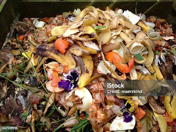 Fresh Biowaste And Compost Stock Photo - Download Image Now - Kitchen, Compost, Garbage