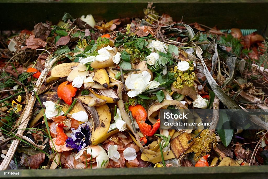 Fresh bio-waste and compost Fresh bio-waste and compost in the garden with white roses Garbage Stock Photo