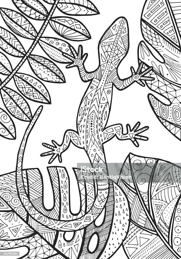 Lizard illustration. Vector lizard tropical illustration for adult coloring book. Hand drawn coloring page. Adult stock vector