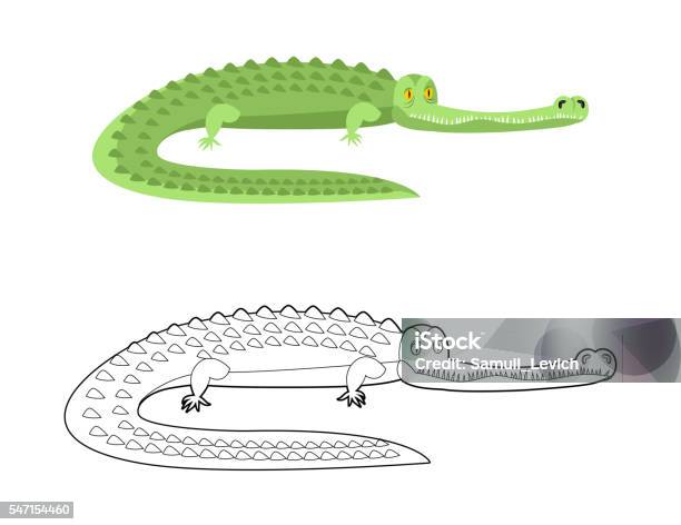 Crocodile Coloring Book Good Caiman Wild Animal Green Reptile Stock Illustration - Download Image Now