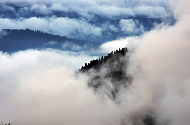 istock Amazing mountain landscape with dense fog. Carpathian Mountains 547155610