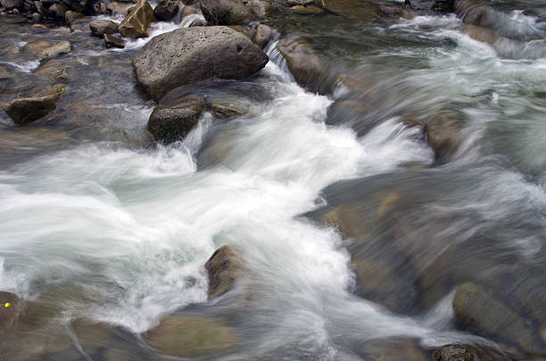 istock Mount river in summer. Karpathien mount. 547156508