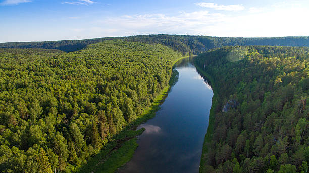 istock endless forest, bend calm river in clear day aerial view 547156898