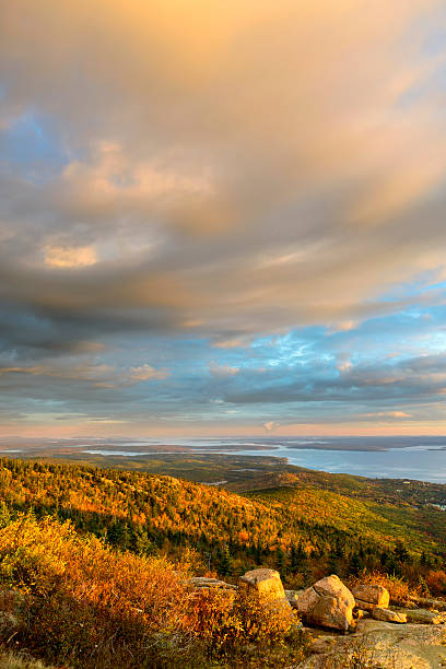 istock Scenic View of Fall Trees and Ocean Inlet 547156918