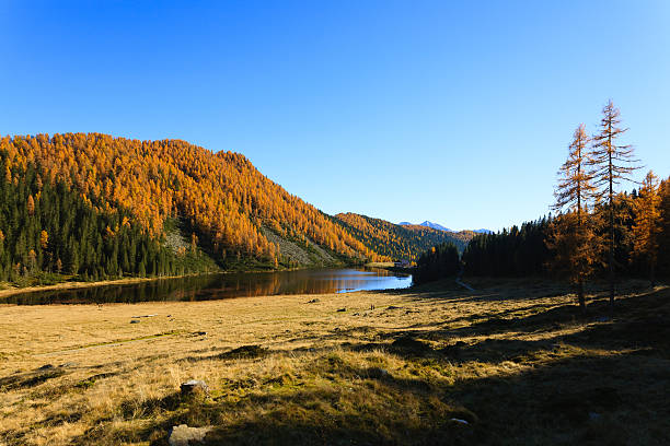 istock Reflections on water, autumn panorama from mountain lake 547157678