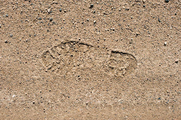 istock footprint on the dry soil 547158968
