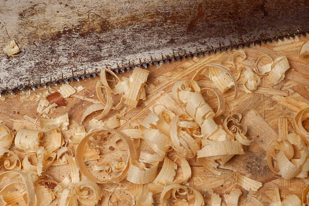 istock Carpenter working. Saw blade and sawdust shot on grainy pine 547159218