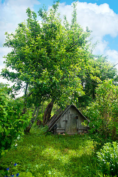 istock Old wooden cabin 547159352