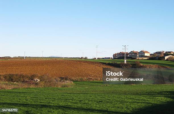Summery Landscapes Stock Photo - Download Image Now - Agricultural Field, Agriculture, Backgrounds