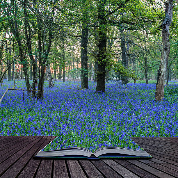 istock Stunning landscape image of bluebell forest in Spring 547165168