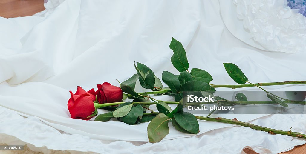 White Wedding Dress Red Rose Stock Photo Download Image Now Adult