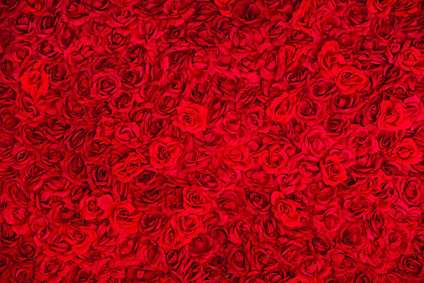 istock Carpet of roses backgound 547200524