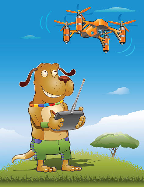 ilustrações, clipart, desenhos animados e ícones de drone doggy - drone subindo