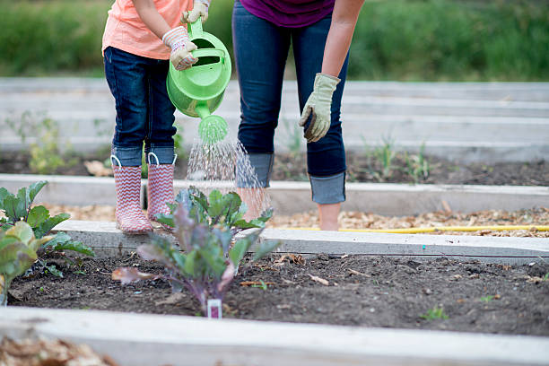 istock Tending to the Garden 547207602