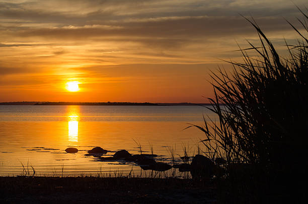 istock Summer sunset by a calm coast 547213988