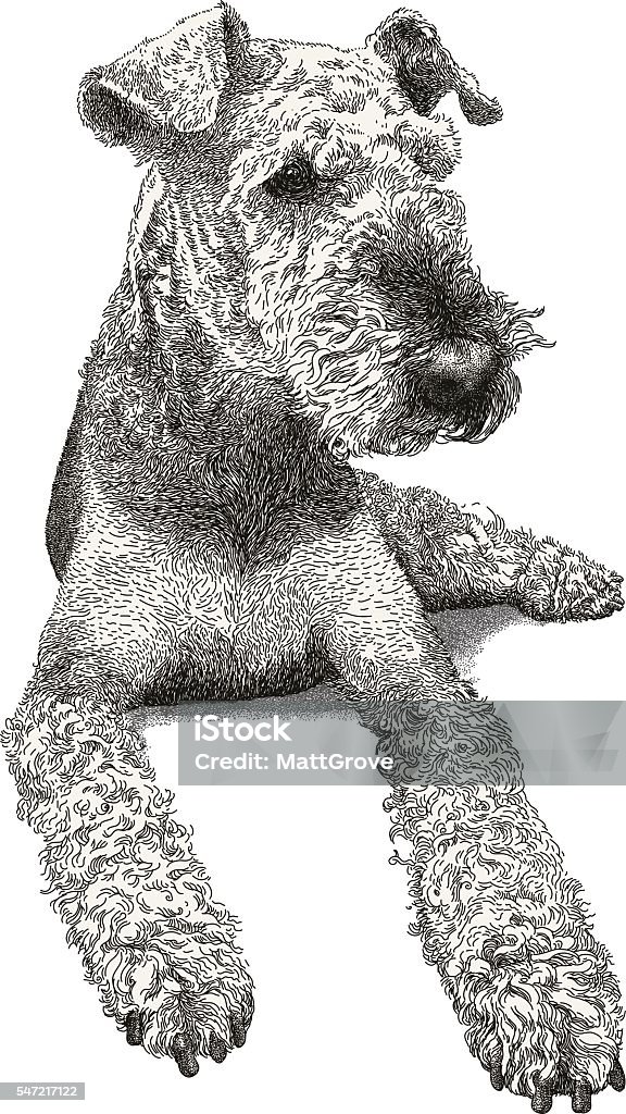 Airedale Terrier Airedale Terrier vector illustration. Additional EPS file contains the same image with lines in stroke form, allowing you to convert to a brush of your choosing. Colors are layered and grouped separately. Easily editable. Airedale Terrier stock vector