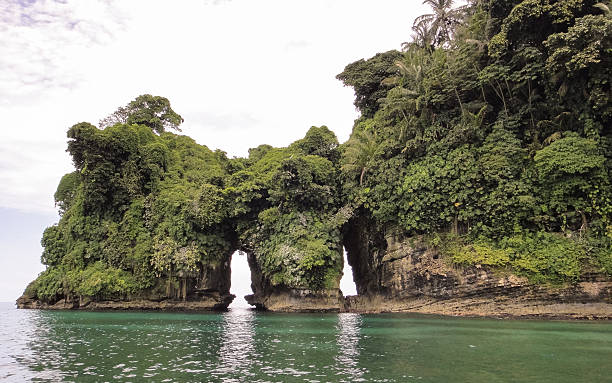 istock Island of birds. Bocas del Toro 547217160