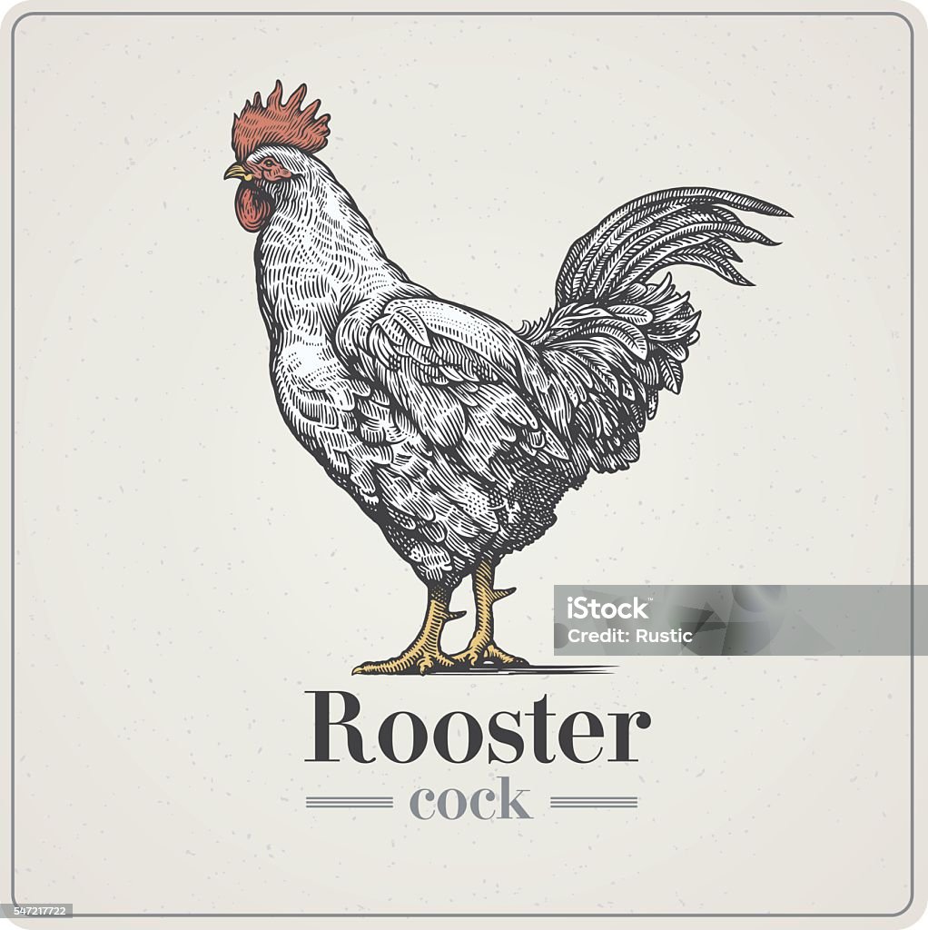 Coq dans un style graphique. - clipart vectoriel de Coq libre de droits