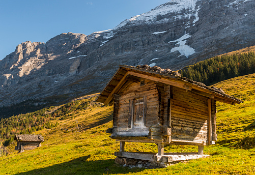 Two old wooden cabins in Switzerland Alps with Eiger and snow in a meadow with evening light.